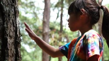 Küçük bir kız büyük bir ağacın gövdesindeki yaşlı bir ağaca dokunuyor ve sevgiyle yukarı bakıyor. Yeşil çevre dostu yaşam tarzı. Doğayı sev ve koru.