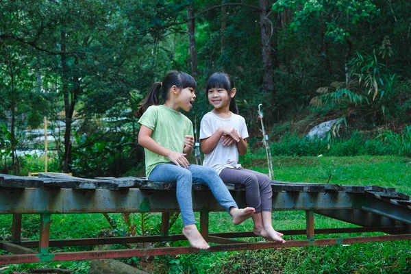 可爱的亚洲女孩一起坐在木桥上 两个快乐可爱的小女孩在户外玩得很开心 在花园里玩耍的亚洲兄弟姐妹 — 图库照片