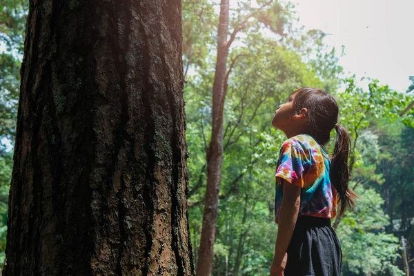 Menina Olhou Com Carinho Para Velha Árvore Grande Floresta Estilo — Fotografia de Stock