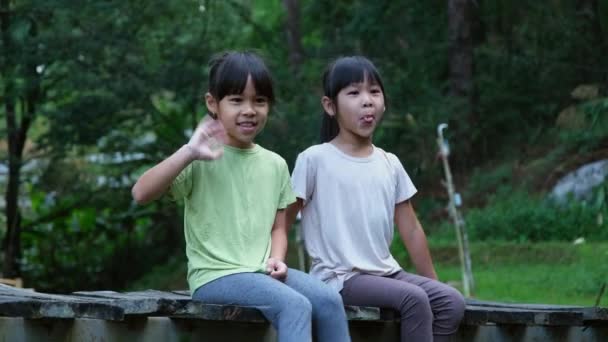 二人の妹口論と泣きながら一緒に木製の橋の上に座っている アジア系の姉妹は庭で動揺している 子育てと家族の概念 — ストック動画