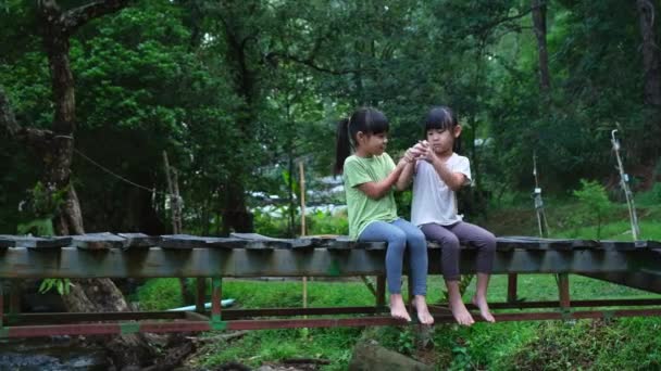 의자매가 나무로 싸우면서 있었다 아시아 자매들은 정원에서 화가나 가족적 — 비디오