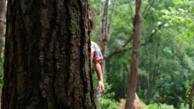 Parkta oynarken bir ağacın arkasına saklanan mutlu aile. Mutlu anne-kız ağaç gövdesinin arkasına saklanıyor. Yeşil çevre dostu yaşam tarzı. Doğayı sev ve koru.