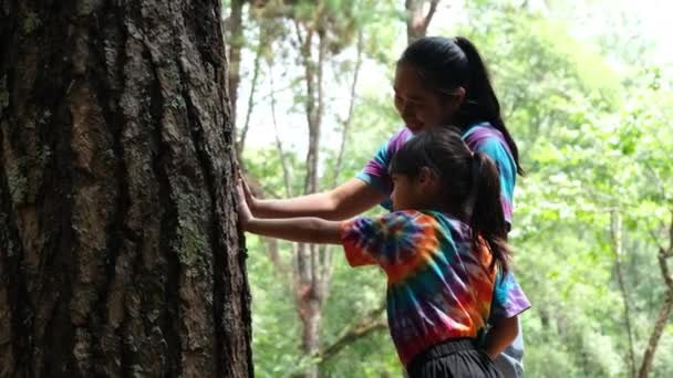 Щаслива Мати Маленька Дівчинка Торкаються Багажника Великого Старого Дерева Зелений — стокове відео