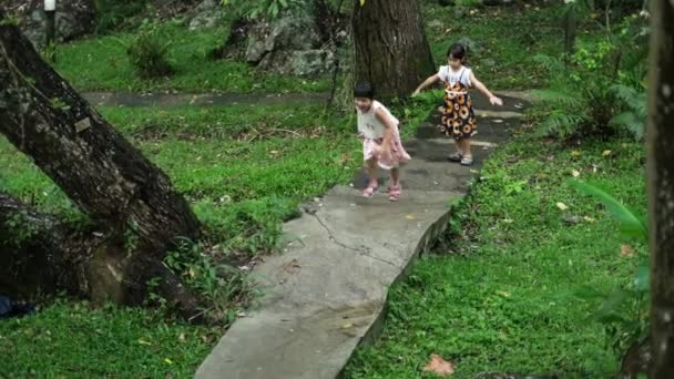 两个可爱的姐姐在一个绿树成荫的植物园里 沿着石路跑着 学习自然的儿童 — 图库视频影像