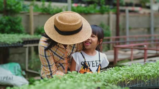 Menina Bonito Ajuda Sua Mãe Cuidar Mudas Tomate Fazenda Orgânica — Vídeo de Stock