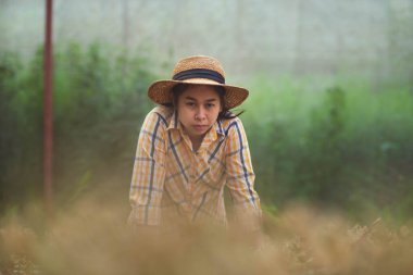 Üzgün kadın çiftçi kreşteki ölü fidanlara bakıyor. Bahçe işlerinde hata..