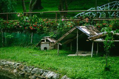 Göletin kıyısındaki tahta ördek evi..