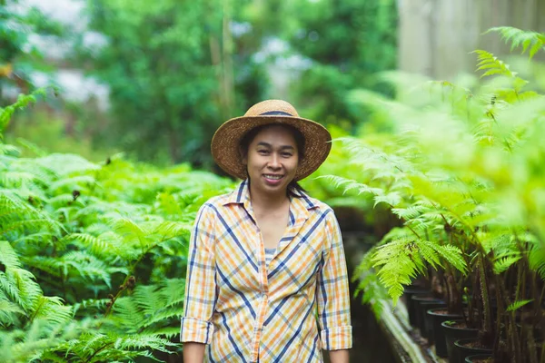 Jovem Agricultora Trabalhando Uma Estufa Cuidando Samambaias Vasos Samambaias Verdes — Fotografia de Stock