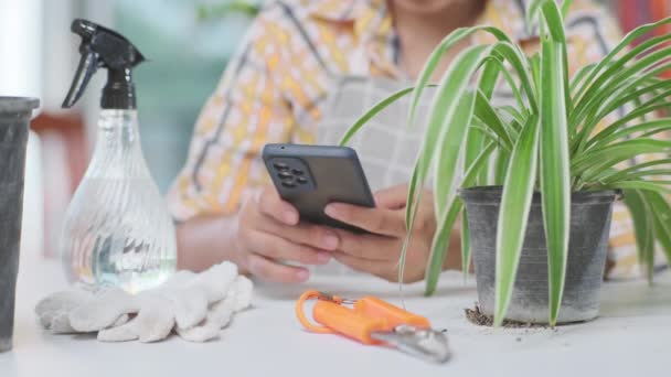 Succesvolle Vrouwelijke Tuinman Die Smartphone Planten Verkoopt Online Markt Jonge — Stockvideo