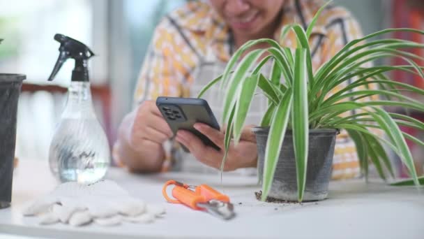 Udane Kobieta Ogrodnik Pomocą Smartfona Sprzedaży Roślin Rynku Online Młoda — Wideo stockowe