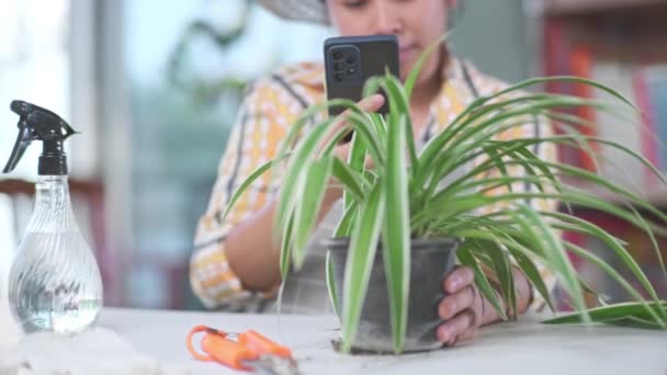 Udane Kobieta Ogrodnik Pomocą Smartfona Sprzedaży Roślin Rynku Online Młoda — Wideo stockowe