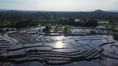 Kuzey Tayland dağlarındaki pirinç teraslarının havadan görünüşü. Teraslı tarım mevsiminin güzel manzarası.