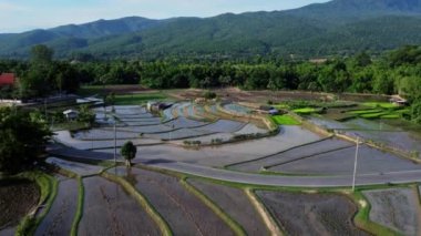 Kuzey Tayland dağlarındaki pirinç teraslarının havadan görünüşü. Teraslı tarım mevsiminin güzel manzarası.