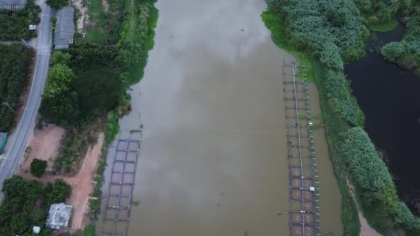 从空中俯瞰农田中的花园和河道 农业和农产企业 — 图库视频影像