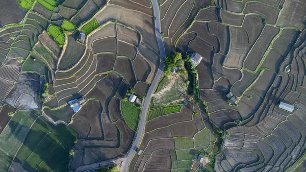 Αεροφωτογραφία Των Ταράτσες Ρυζιού Στα Βουνά Της Βόρειας Ταϊλάνδης Όμορφο — Φωτογραφία Αρχείου