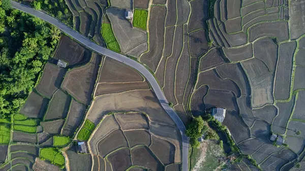 stock image Aerial view of rice terraces in the mountains of northern Thailand. Beautiful scenery of the terraced farming season.