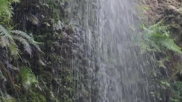 噴霧の流れの滝 動いている山水を分割して下さい 滝からの水の動きは岩や木製の橋に衝突する — ストック動画