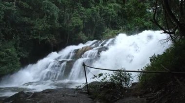Yağmur ormanlarında temiz suyla güzel bir şelale. Yağmur mevsiminde yeşil ormanda akarsu hızlı akıyor. Doğanın huzurlu ve huzurlu manzarası.