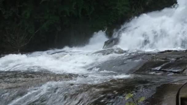 Piękny Wodospad Lesie Deszczowym Czystą Wodą Strumień Biegnie Szybko Zielonym — Wideo stockowe