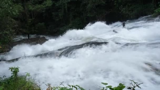 Yağmur Ormanlarında Temiz Suyla Güzel Bir Şelale Yağmur Mevsiminde Yeşil — Stok video