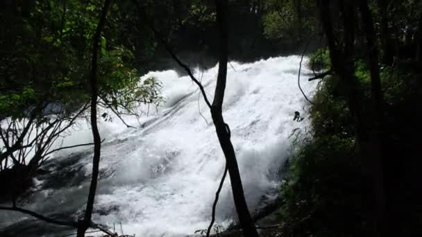 澄んだ水で熱帯雨林に美しい滝 雨の季節に緑の森で速く走っている トランキルと平和な自然の景色 — ストック動画
