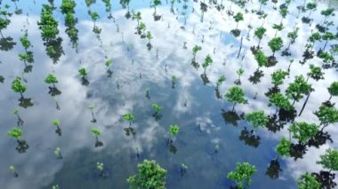 Kuzey Tayland 'da Mae Hong Son eyaletindeki Pai köyünün insansız hava aracı görüntüsü..