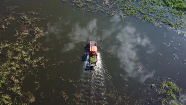 Большой Экскаватор Большом Стальном Корабле Трактор Работают Канале Собирая Овощи — стоковое видео