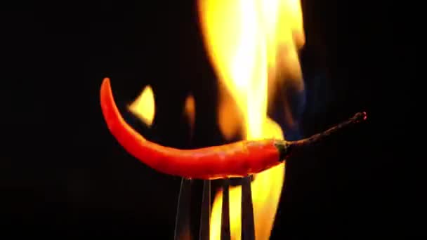 Chilli Paprika Vidličce Plameny Černém Pozadí Spaluji Červený Chilli Pepř — Stock video