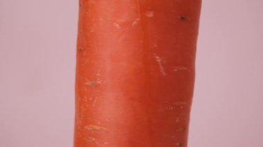 Pembe arka planda dönen havuç kabukta akan su damlaları. Taze organik turuncu havuç.