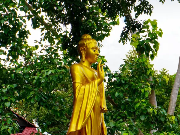 Phu Thok veya Wat Chetiyakhiri 'deki Buda heykelleri ve heykelleri, kayalık kayalıkları olan güzel dağ manzarası, Bueng Kan Eyaleti, Tayland.