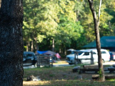 Ulusal parktaki doğal manzara ve turistlerin ziyaret ettiği birçok park edilmiş araba..