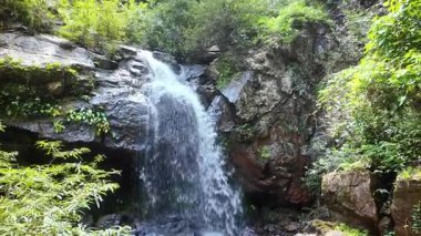 Sonbahar ormanında şelale. Tayland 'da bir milli parktaki tropikal bir ormanda dağ şelalesi..