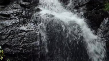 Sonbahar ormanında şelale. Tayland 'da bir milli parktaki tropikal bir ormanda dağ şelalesi..