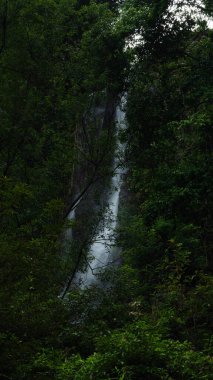 Sonbahar ormanında şelale. Tayland 'da bir milli parktaki tropikal bir ormanda dağ şelalesi..