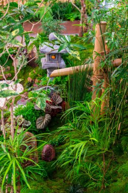 Minimum Japon bahçesi küçük taş fener, bambu çeşmesi, yosun ve çiçeklerle dolu..