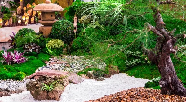 stock image Minimal Japanese garden in home with small stone lantern and bamboo fountain and moss and flowers.