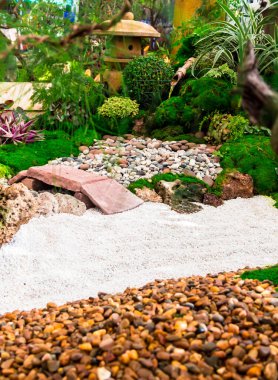 Minimum Japon bahçesi küçük taş fener, bambu çeşmesi, yosun ve çiçeklerle dolu..