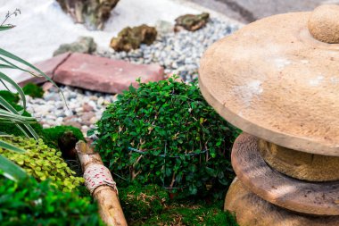 Minimum Japon bahçesi küçük taş fener, bambu çeşmesi, yosun ve çiçeklerle dolu..