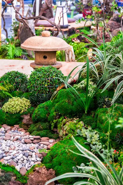 stock image Minimal Japanese garden in home with small stone lantern and bamboo fountain and moss and flowers.