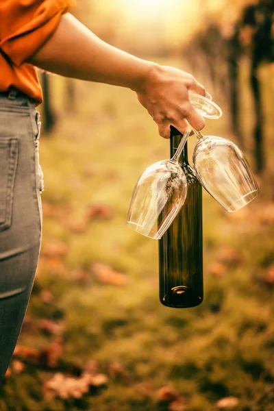 Woman in the vineyards in summer season,holding wine bottle.