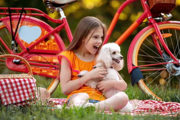 Little girl with her dog on picnic in the park.