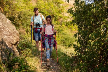 Sırt çantalı yürüyüşçüler ve yürüyüş sopalarıyla birlikte ormanda yürüyorlar..