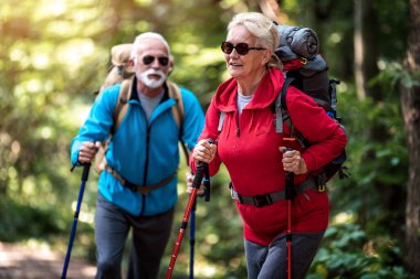 Aktif kıdemli çift sırt çantalarıyla ormanda yürüyüş yapıyor, maceralarının tadını çıkarıyorlar..