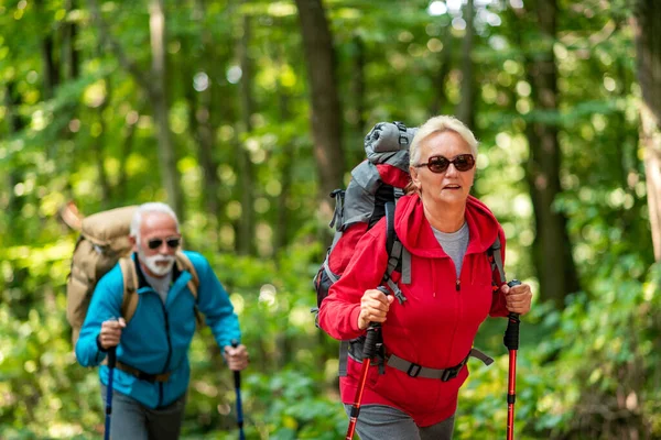 Yürüyüşe çıkmış sırt çantalı yaşlı çift doğada eğleniyor. Aşk, insanlar, doğa ve yaşam tarzı kavramı.