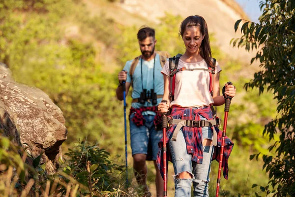 Sırt çantalı yürüyüşçüler ve yürüyüş sopalarıyla birlikte ormanda yürüyorlar..