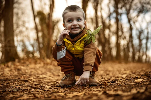 可爱的小男孩 秋天的树叶在森林里 自然和柔情 — 图库照片