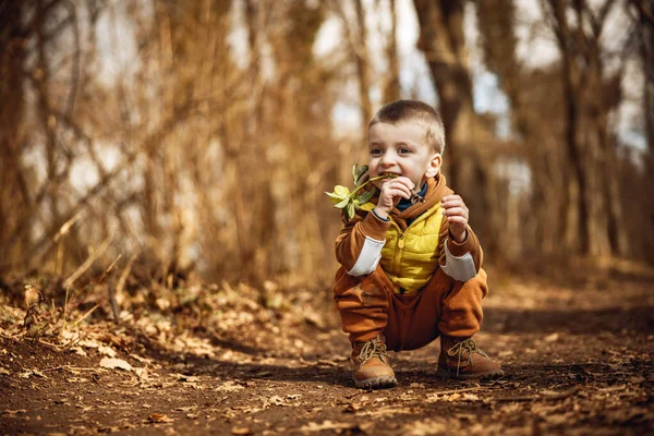 自然の中で楽しむ小さな男の子 楽しさ 幸福と自然概念 — ストック写真
