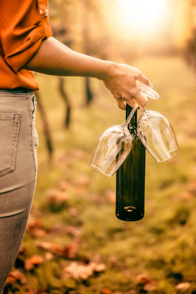 日落时分 女人在葡萄园里拿着酒瓶和两杯葡萄酒 — 图库照片