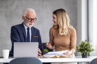 Yaratıcı insanlar bir ofiste dizüstü bilgisayar kullanarak buluşuyor ve yeni planlar hakkında konuşuyorlar. Web tasarımcıları ofiste çalışıyor ve yeni web sitesi planlıyorlar..