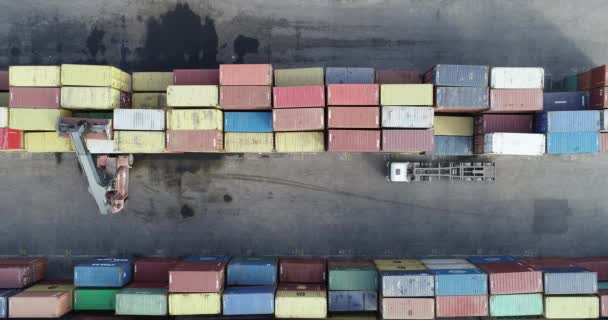 Container Handler Wordt Geladen Port Terminal Vervoer Van Containers Voor — Stockvideo